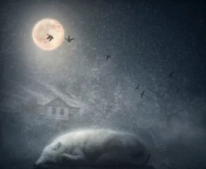Crédence de cuisine en verre imprimé Loup Loup arctique blanc dormant sous la lune. Le concept en discret avec texture vintage