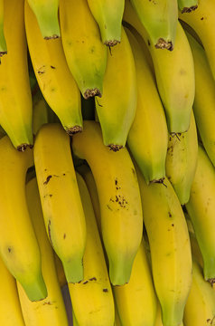 Detail of bunch of bananas