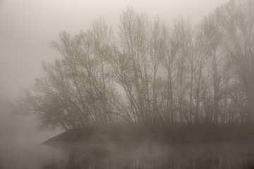 Dichter Nebel über dem Rhein
