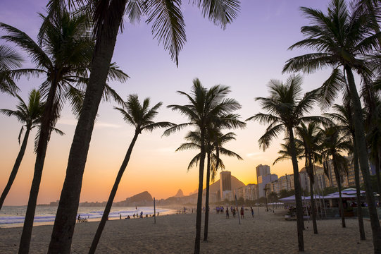 Copacabana Beach Rio de Janeiro view with palm tree silhouettes in front of colorful sunset sky from the Leme neighborhood