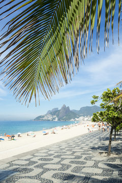 Palm fronds and the iconic boardwalk pattern frame a scenic view of Ipanema Beach from Arpoador, Rio de Janeiro, Brazil