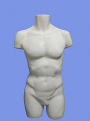 Male mannequin nude torso.