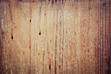 wood grungy background with space for your design