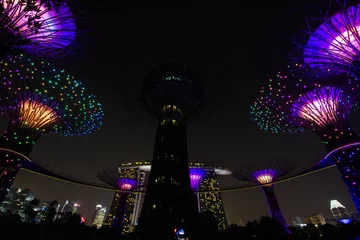 Zelfklevend Fotobehang supertree groov at night lighting show © kazaalong