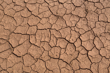 Dry Red Cracked Mud