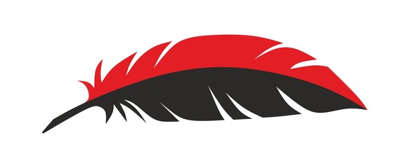 feder2912c © Fiedels