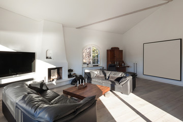 living room with leather divans