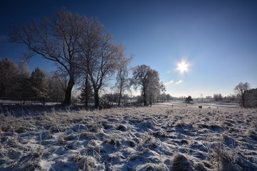 winter country landscape