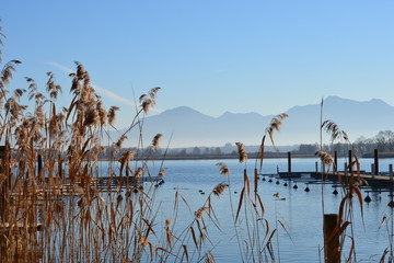 Chiemsee und Berge
