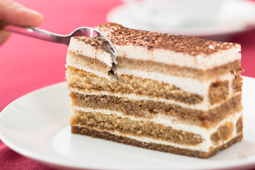 Tiramisu cake close-up
