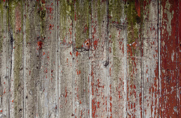 Old wood texture