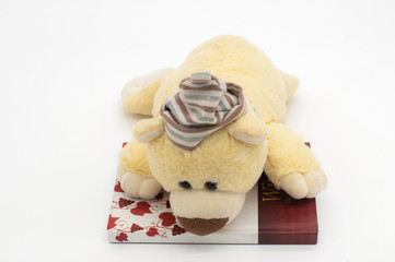 diary with dolly bear