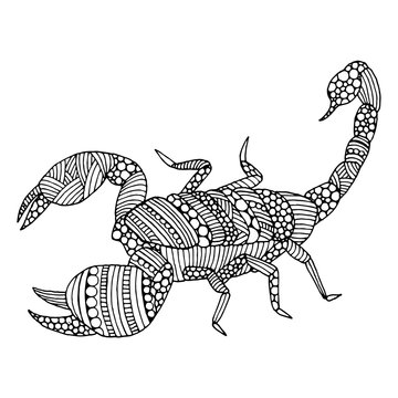Doodle Scorpion illustration
