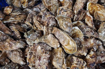 Long oysters from Brittany in the shell at a Cancale market
