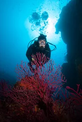 Selbstklebende Fototapeten Scuba diver and coral reef with red coral . © frantisek hojdysz