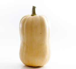 Butternut Squash on a Bright Backdrop
