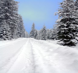 Snowy path. Forest road in winter. Snow drifts.