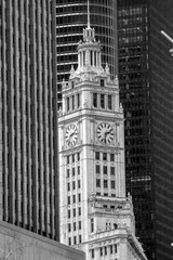 Fototapeta na wymiar Chicago Clock Tower