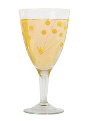 Champagne in a glass