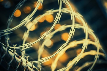 Barbed Wire Fence Closeup