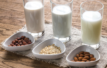 Different types of non-dairy milk