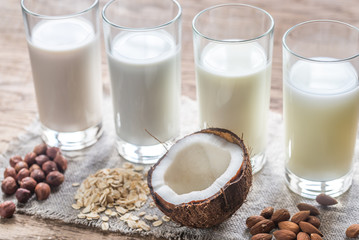 Different types of non-dairy milk