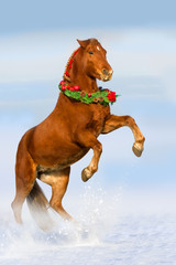 The horse reared in the decorated Christmas wreath