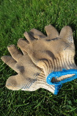 Dirty and worn-out gardening textile gloves on the mown lawn after hard work in the autumn garden