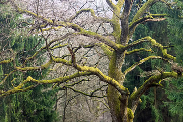 Beautiful natural backdrop