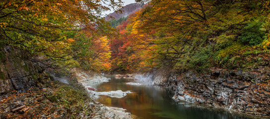 Early Morning Autumnal Landscape