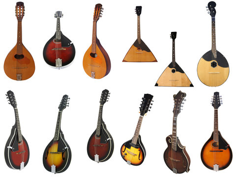 mandolin