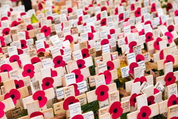 Fototapeta premium To the memory of the Fallen and the Future of the Living