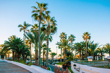 Fototapeta na wymiar Sunset with palm trees in resort