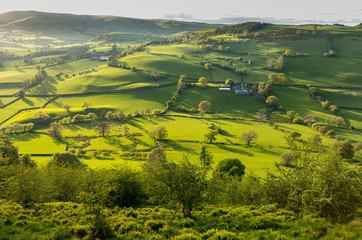 View over Llangedwyn valley with fields and meadows