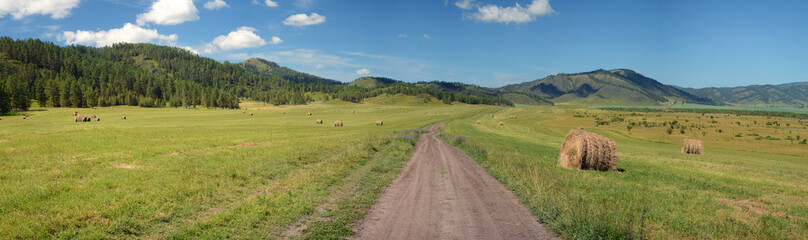 Fototapeta na wymiar Dirt road in a field with hay rolls