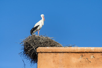 MARRAKESH, MOROCCO: city wall with Bab Agnaou and stork nests on