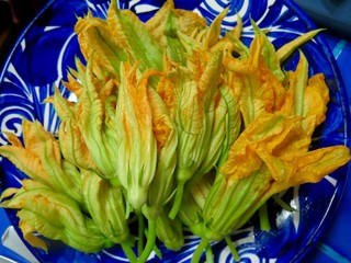 Colorful squash blossoms as ingredients for recipe in Mexican cuisine