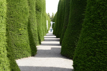 Cemetery
