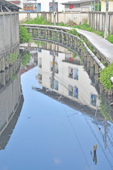 Polluted canal in Bangkok