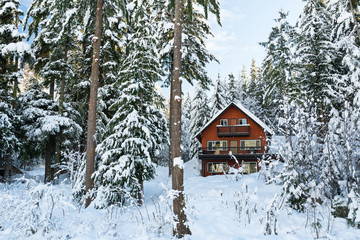 Cabin in the Woods Winter with Snow