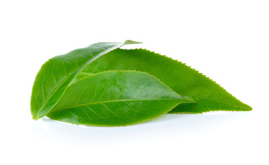 Obraz premium Green tea leaves on white background