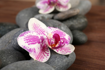Spa stones and orchids closeup