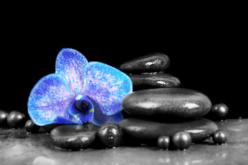 Beautiful spa composition with blue orchid and stones