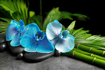 Plakaty  Piękna kompozycja spa z niebieską orchideą, bambusem i kamieniami