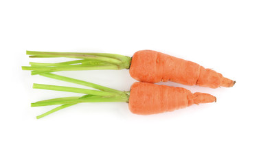 carrots isolated on white background