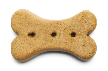 Brown Dog Bone