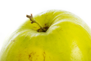Monkey apple