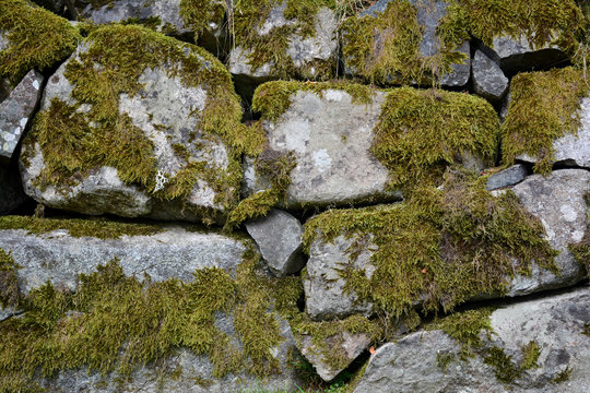 Steinmauer mit Moos bewachsen