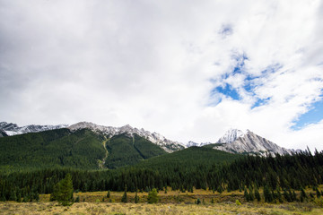 landscape of the rocky mountains of alberta canada during a sunny day