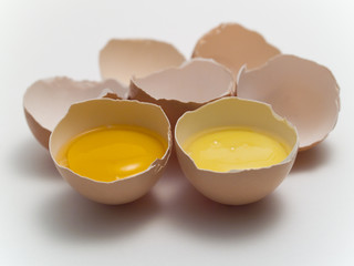 Eggs
